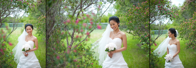 best calgary wedding photographer best calgary wedding photographer