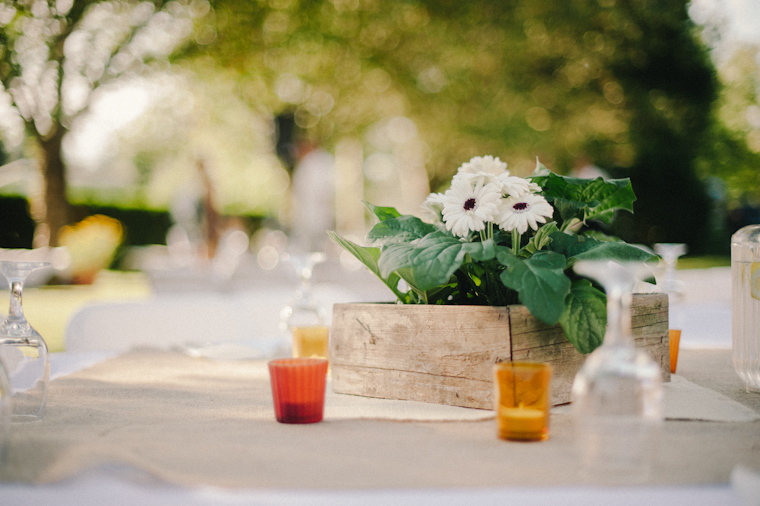 backyard wedding photography