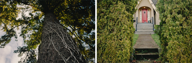 Kerrisdale Family Photography