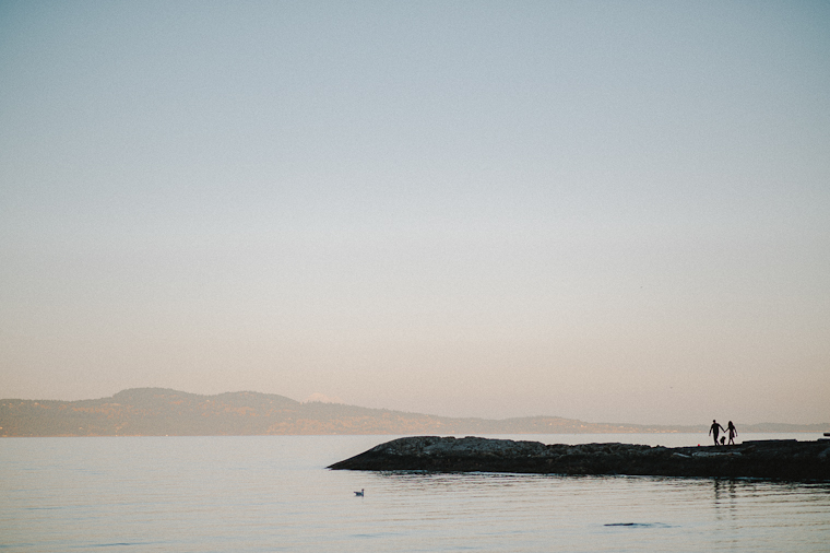 Arbutus Cove Engagement pictures