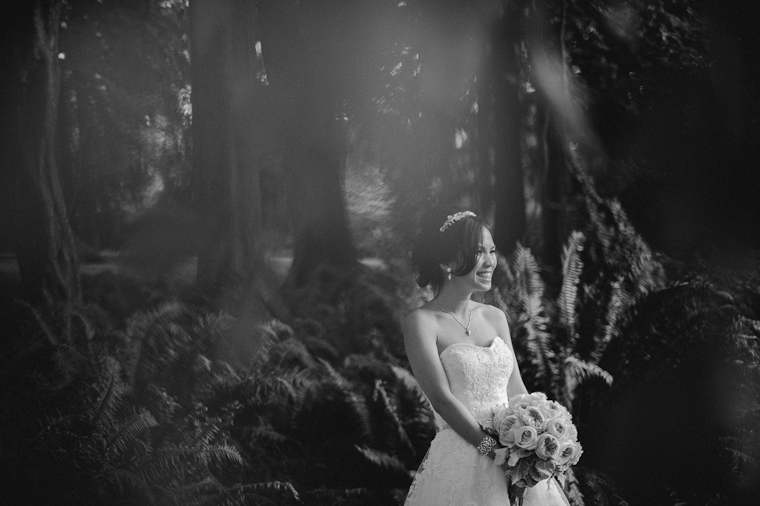 Stanley park bride portrait