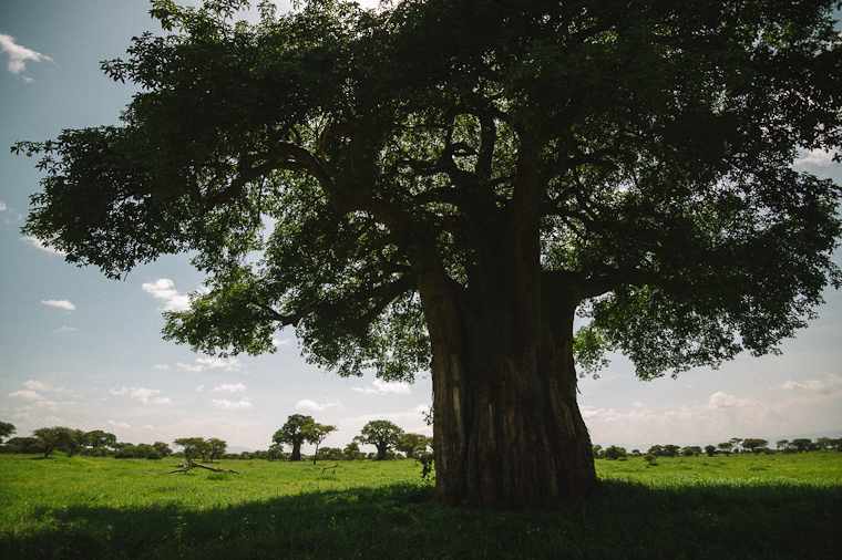 Kenya Elopement Photography