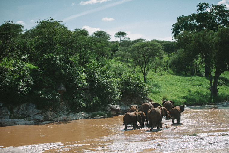 Tanzana Safari Elopement