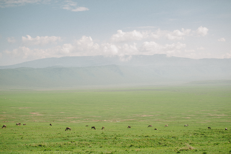 Ngorogoro Crater Elopement