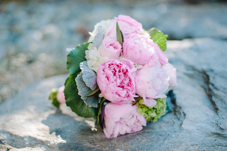 Whistler Wedding Photographer-2