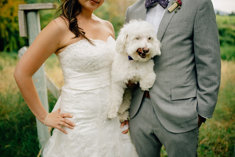 funny dog wedding picture