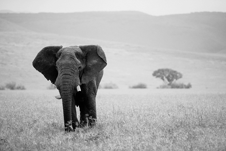 Africa Wedding Photographer_0215