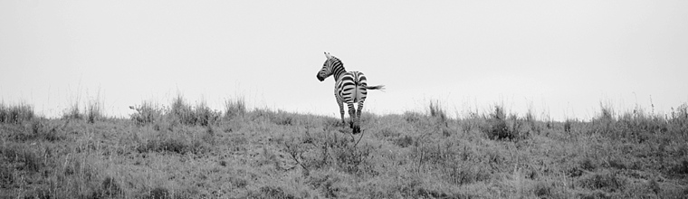 Africa Wedding Photographer_0221