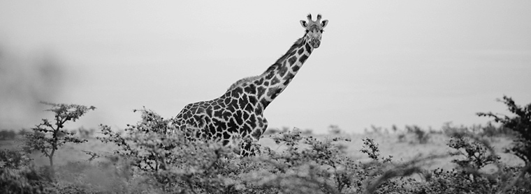 Africa Wedding Photographer_0222