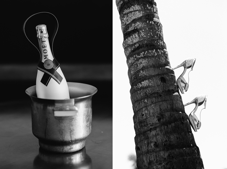 fine art destination wedding