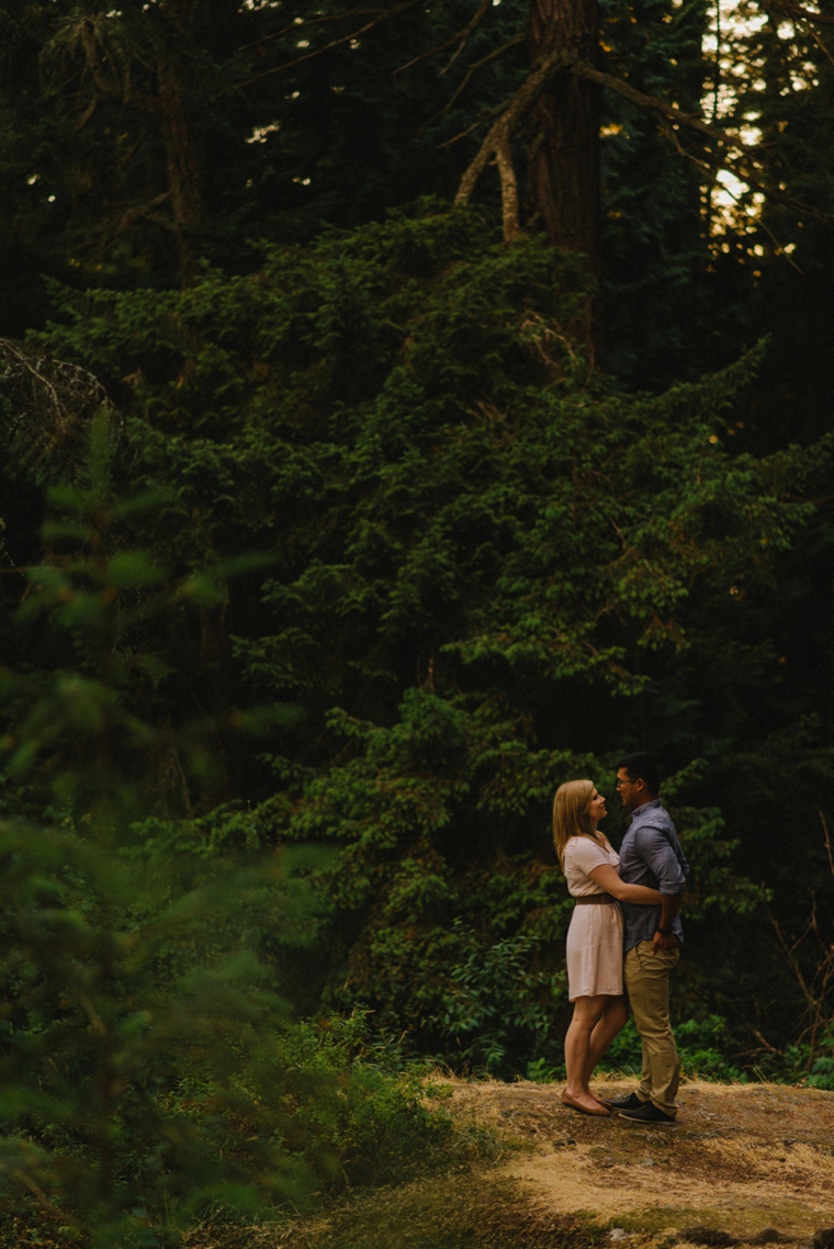fine art vancouver engagement