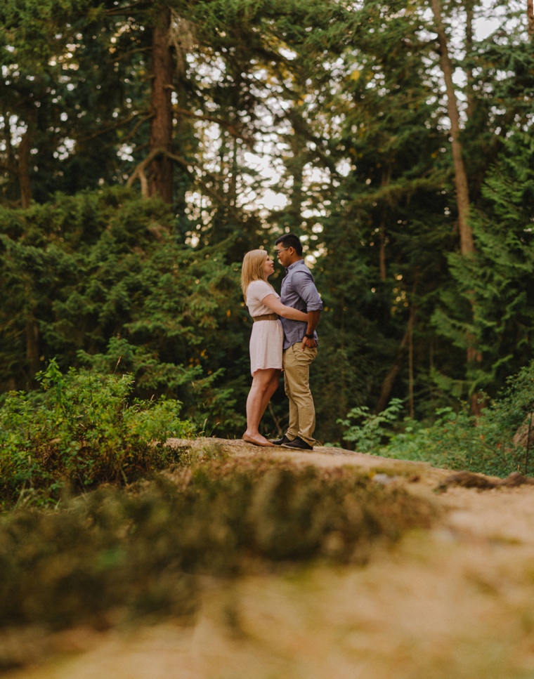 brenizer method forest picture