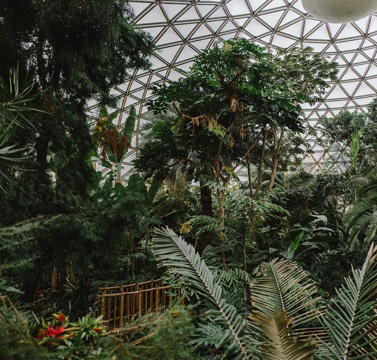 Bloedel Conservatory in Vancouver