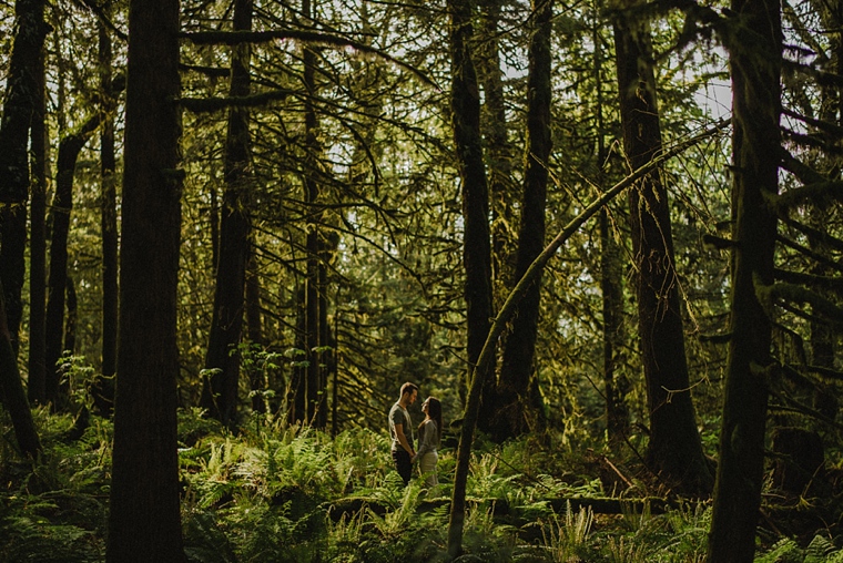 unique chilliwack engagement