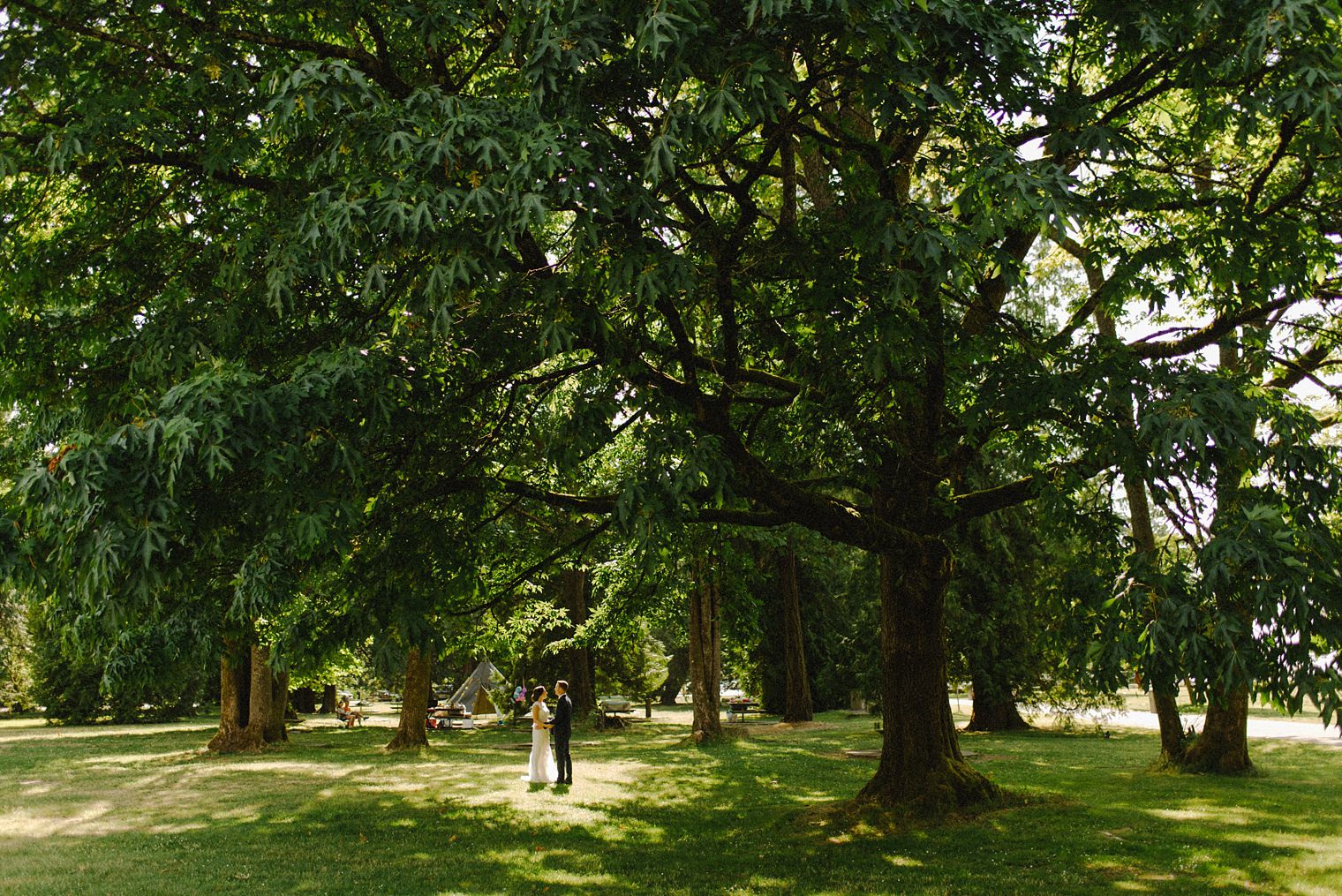 jericho beach wedding photographer