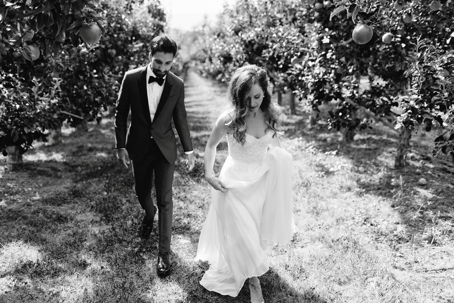 stylish bride and groom walking through orchard