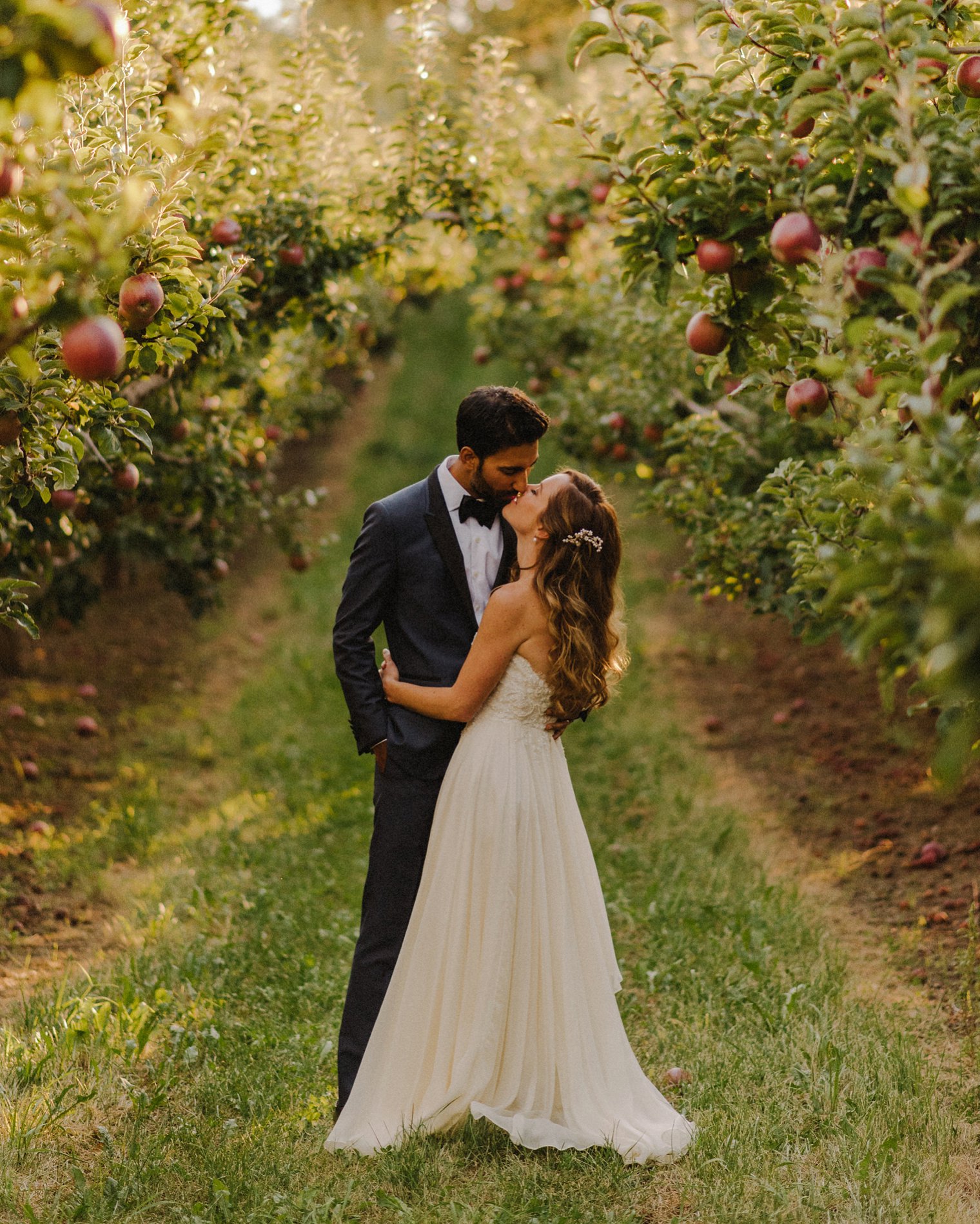 bride and groom portrait in kelowna orchard
