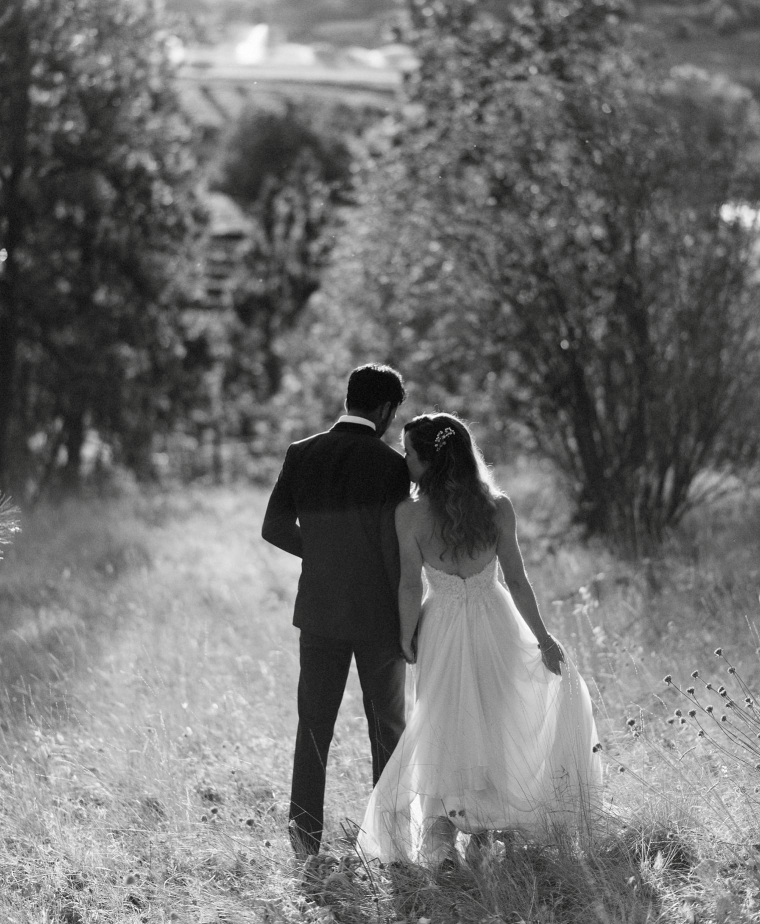 kelowna sunset wedding portraits