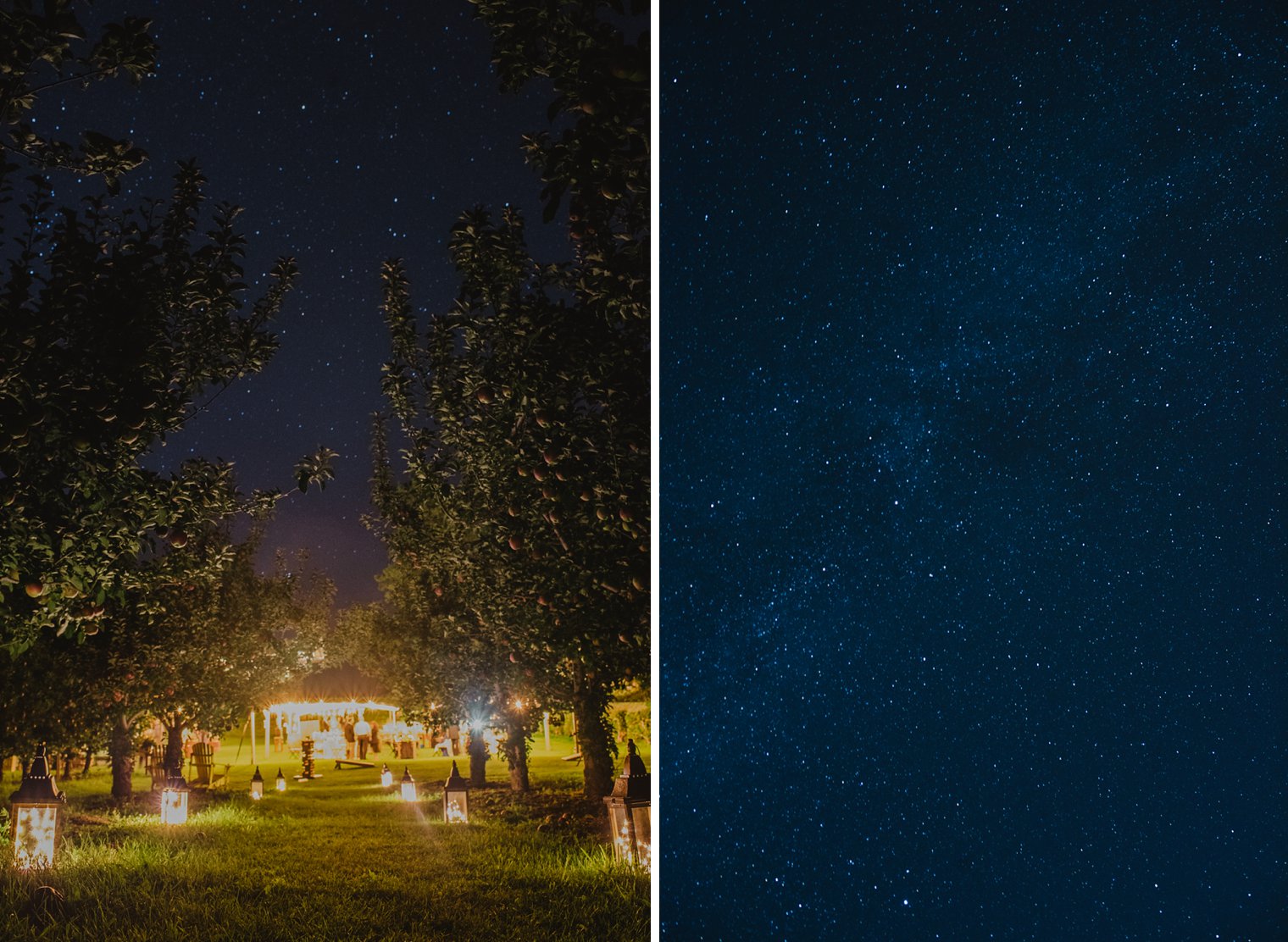 constellation themed wedding in kelowna