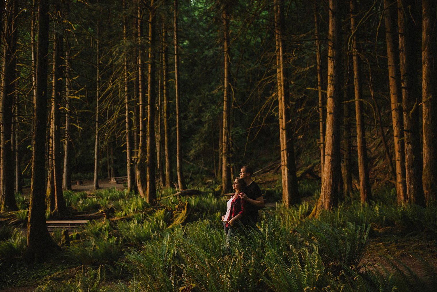 chilliwack forest engagement