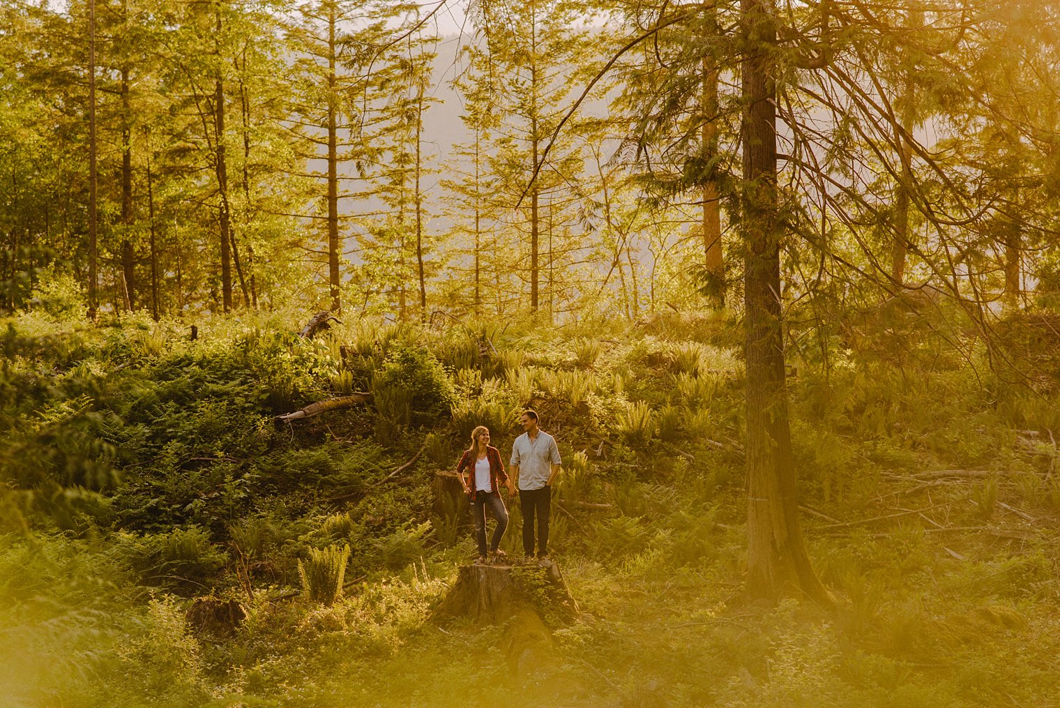 harrison lake bc engagement