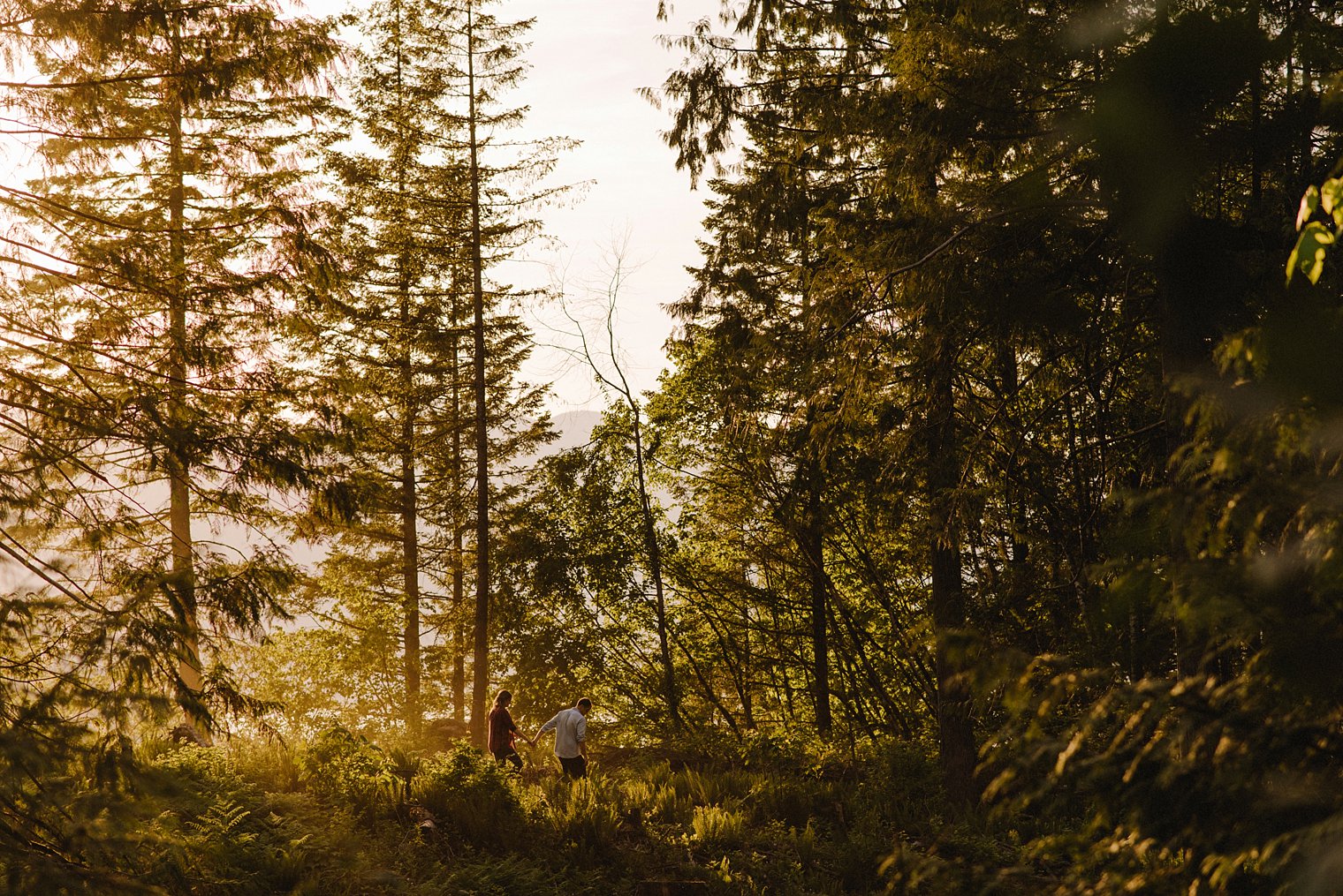 sunset engagement at harrison lake