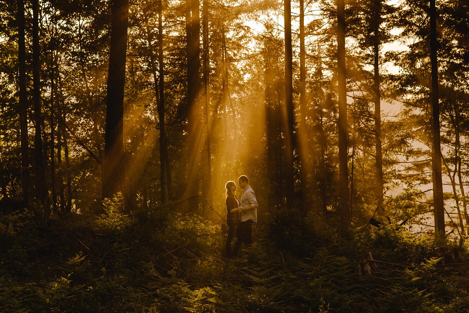 harrison lake sunset engagement