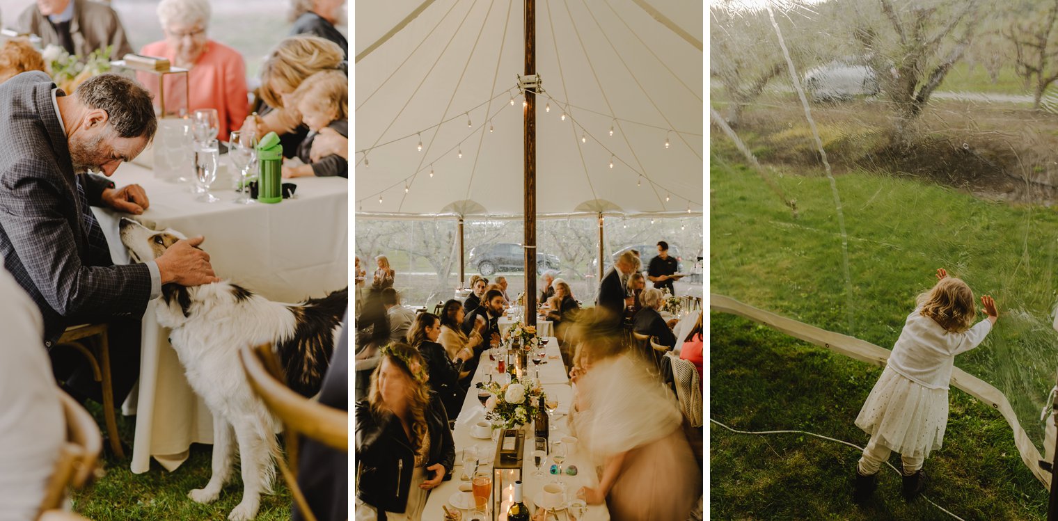 Okanagan wedding Photographer