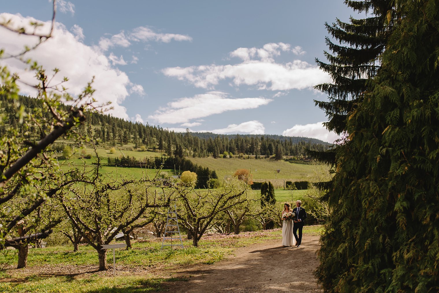 Okanagan wedding Photographer