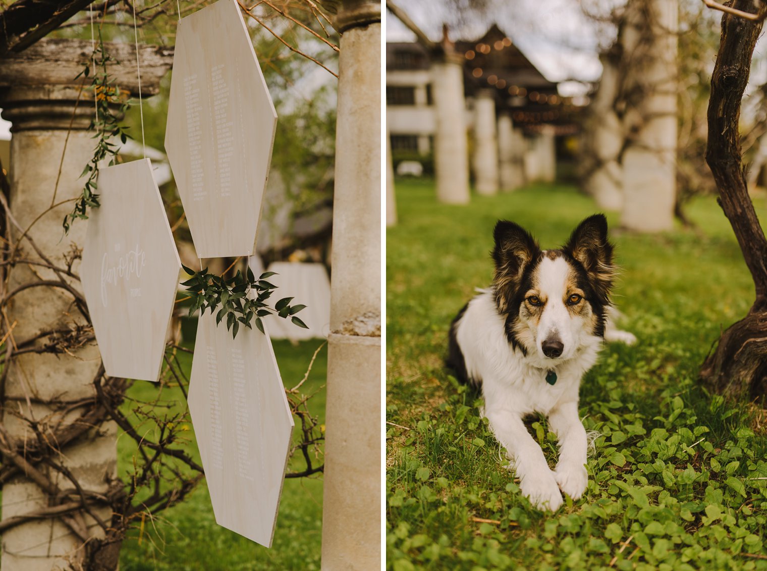 Okanagan wedding Photographer