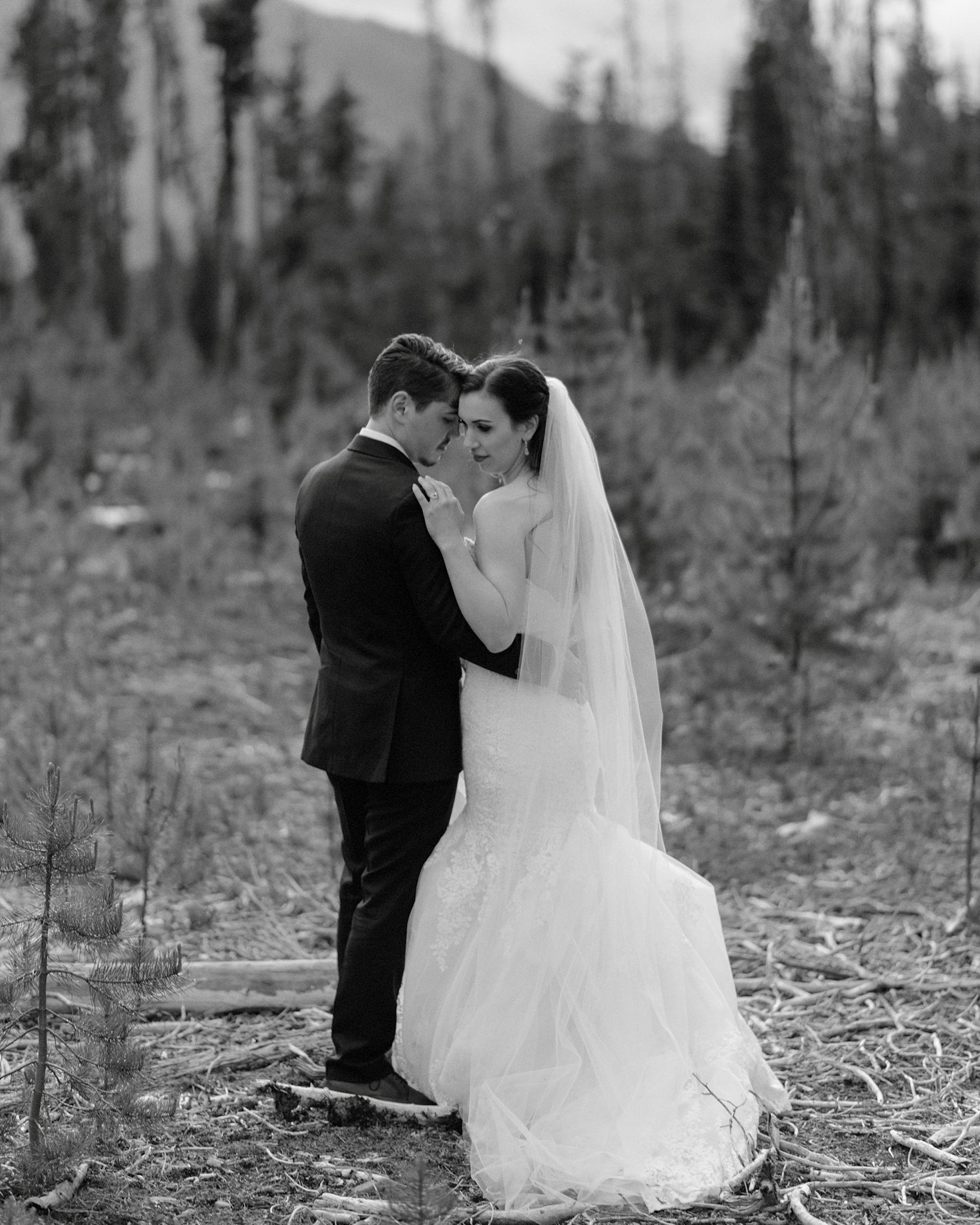 Fraser Valley Wedding Photographer