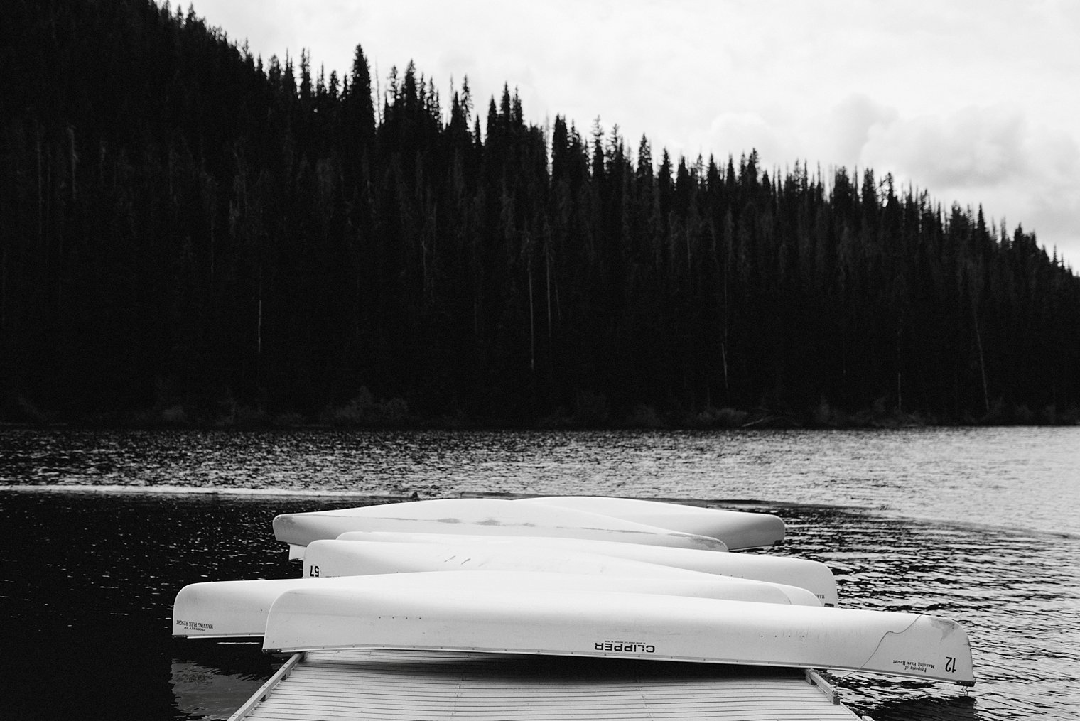 Fraser Valley Wedding Photographer