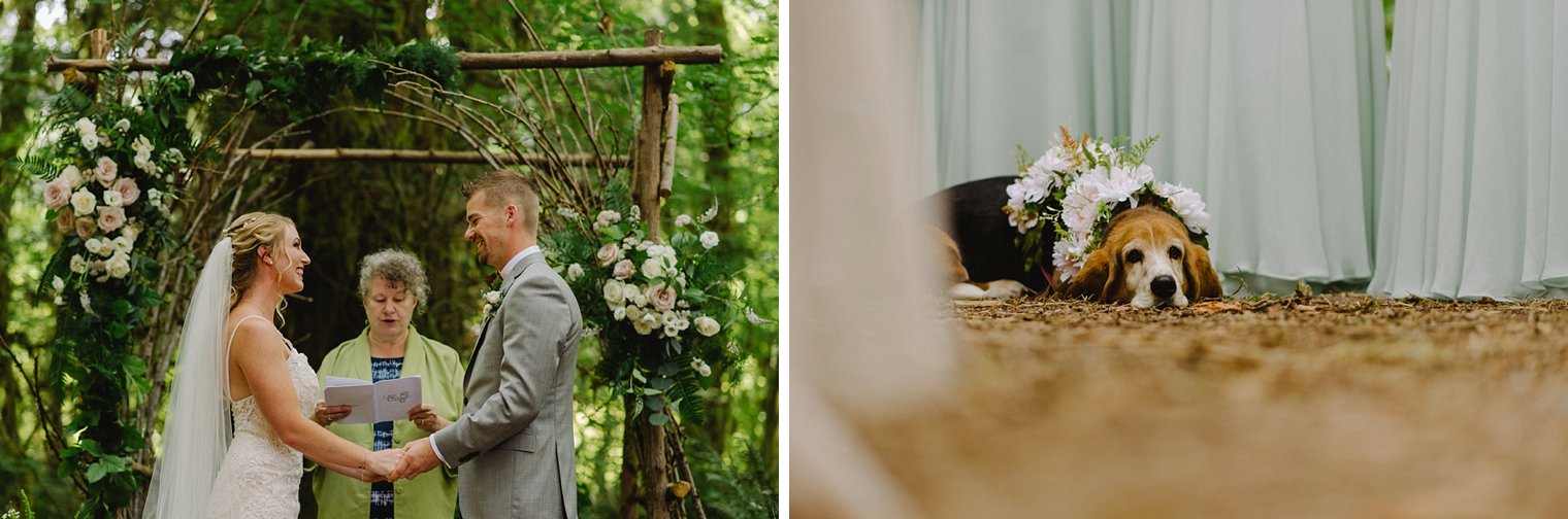 squamish wedding photographer