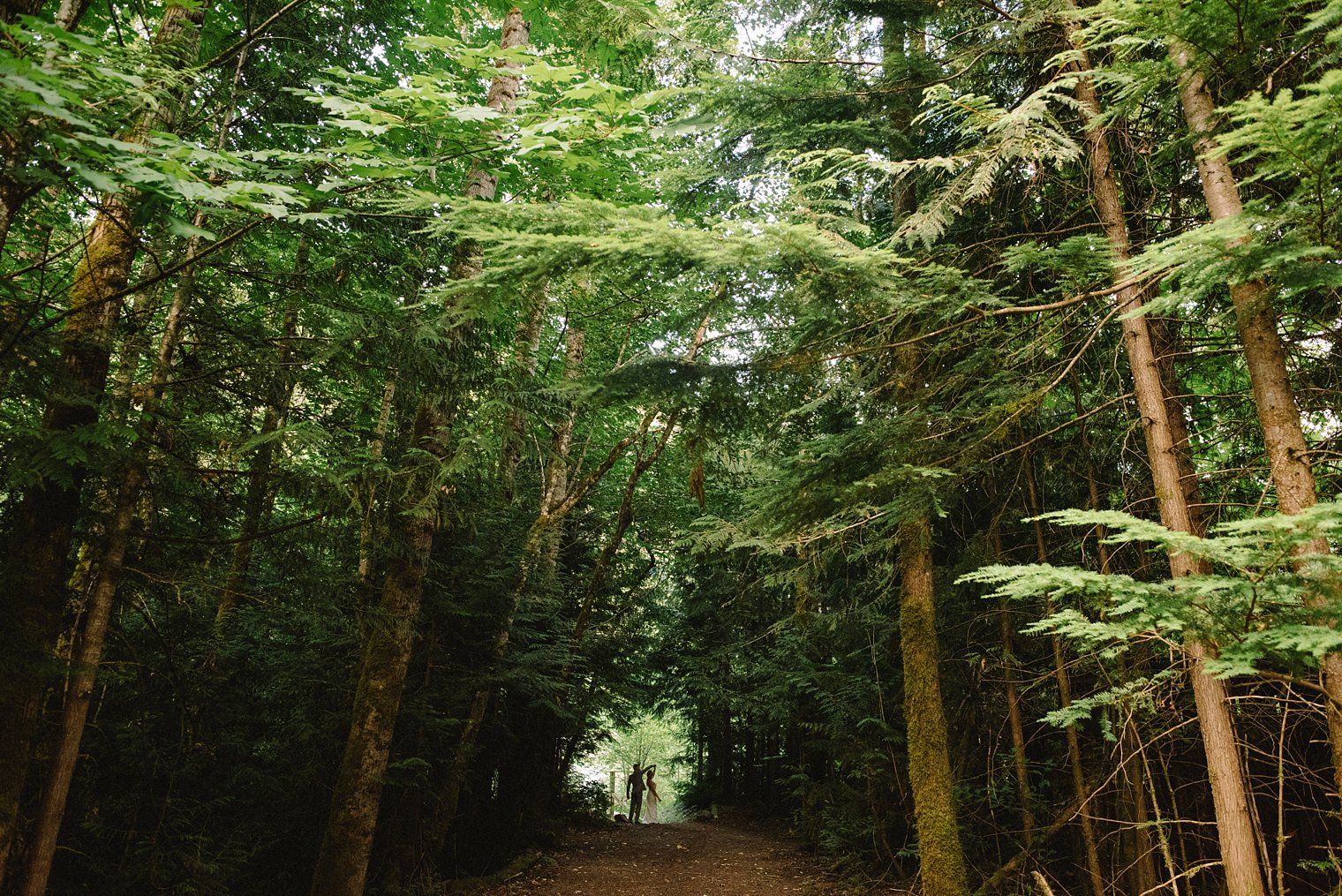 squamish wedding photographer