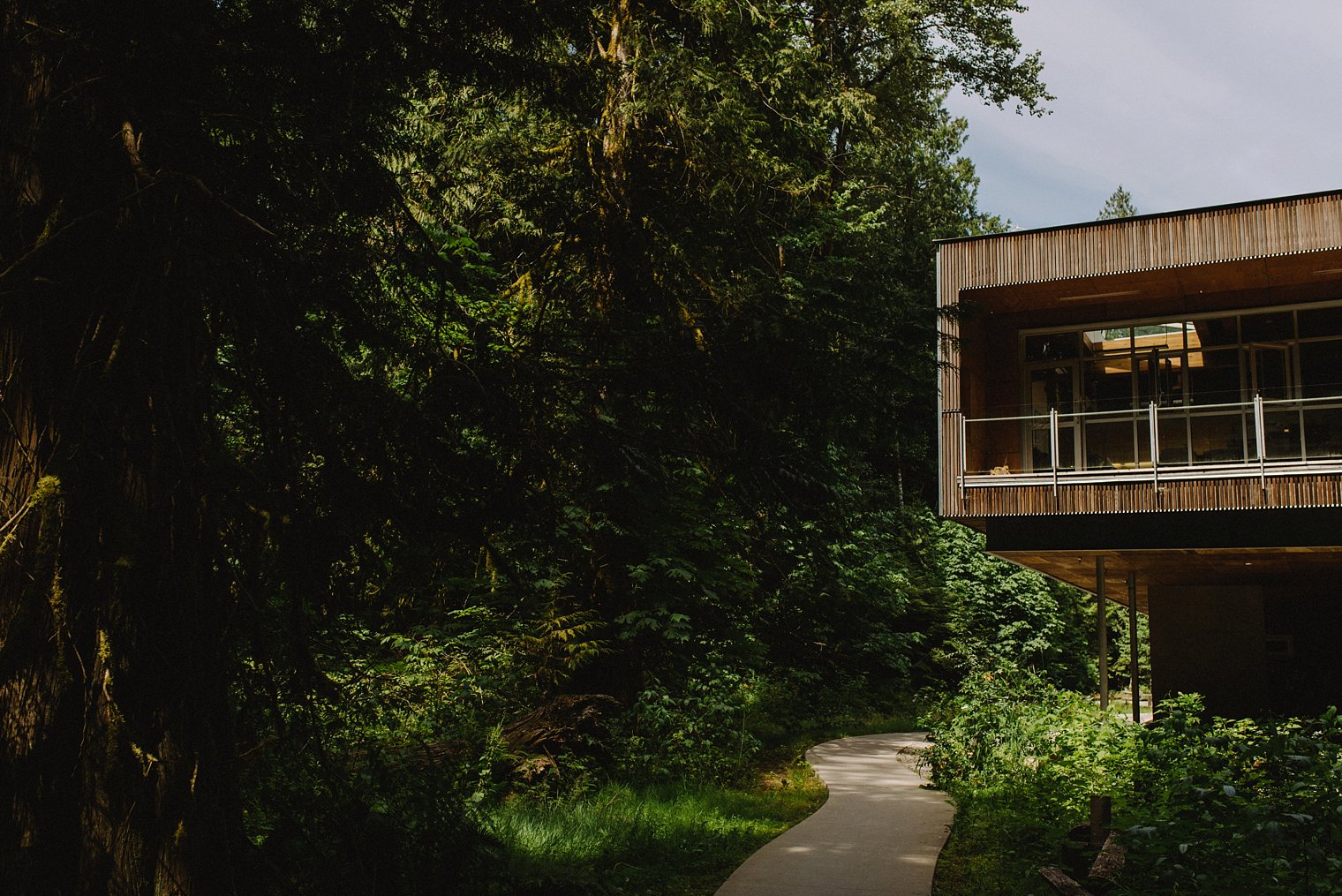 squamish wedding photographer