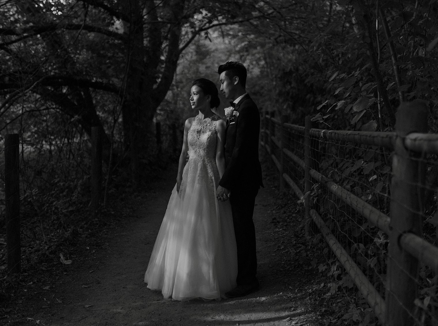 vancouver wedding photography