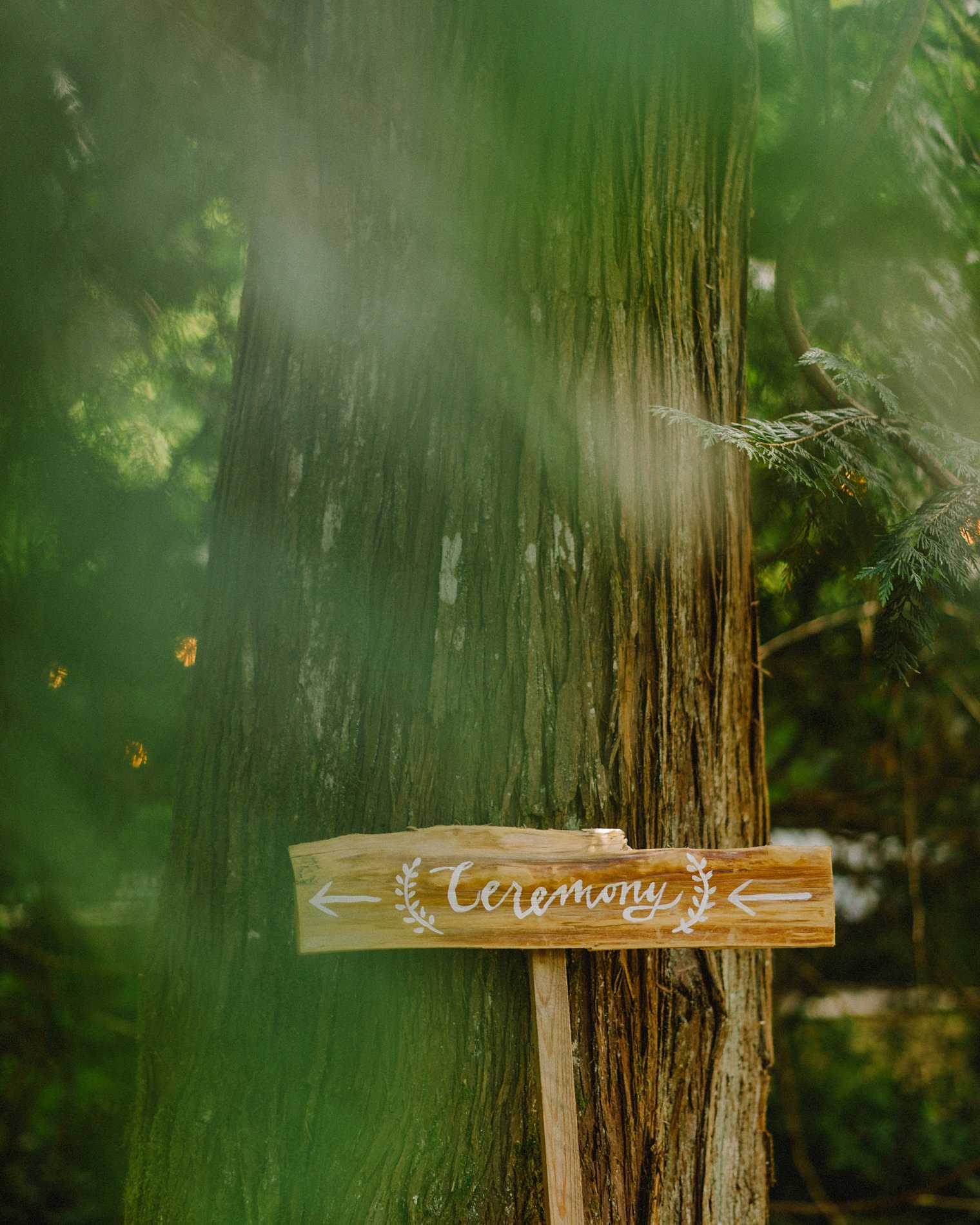 squamish wedding photographer