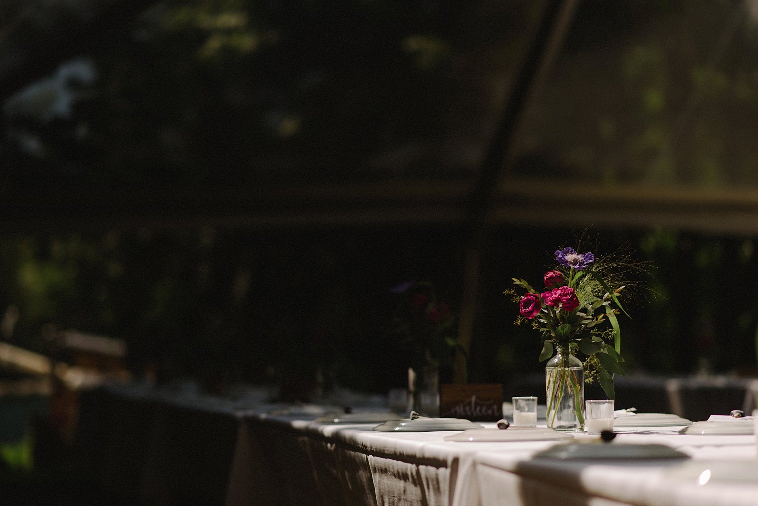 squamish wedding photographer