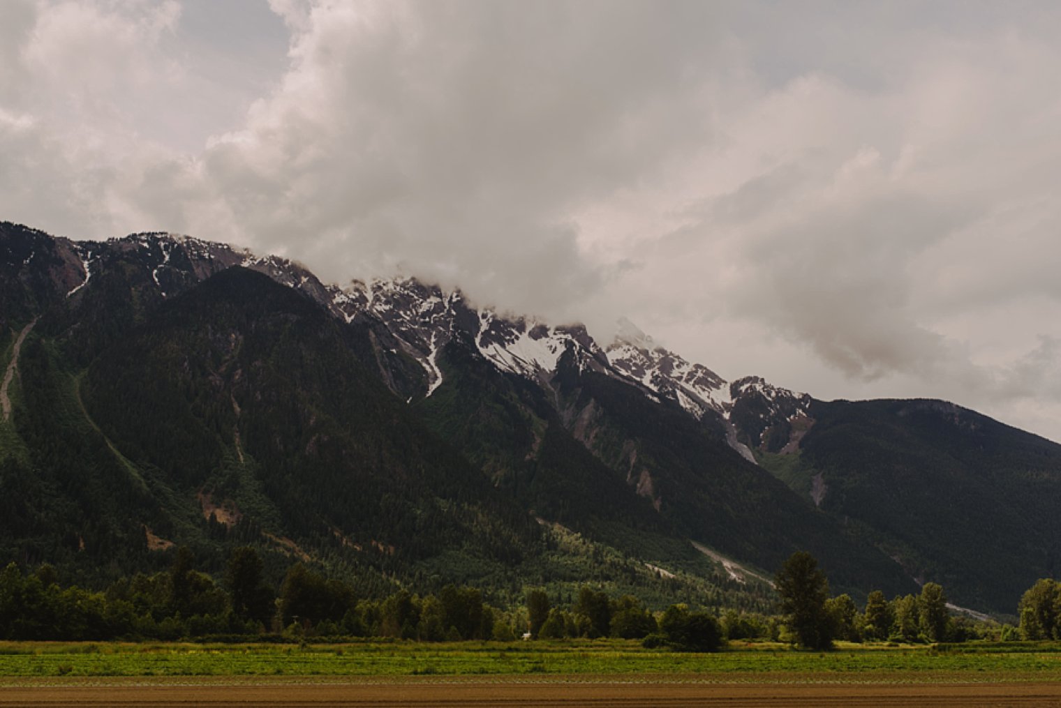 pemberton wedding photographer