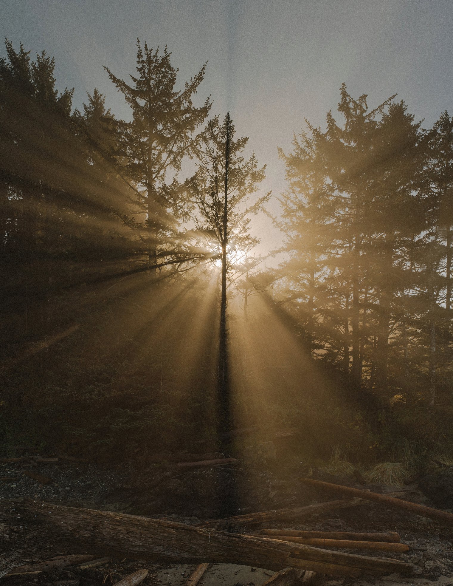 ucluelet wedding photographer