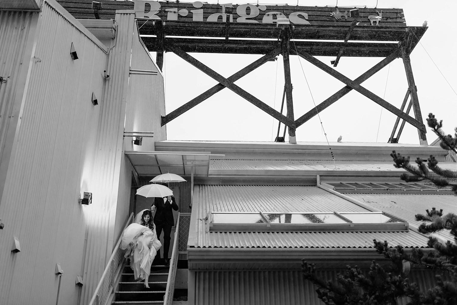vancouver wedding photography