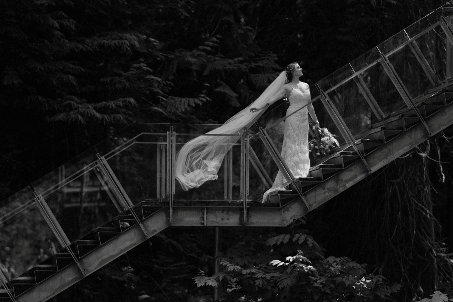 Neil + Heidi // Squamish Forest Wedding