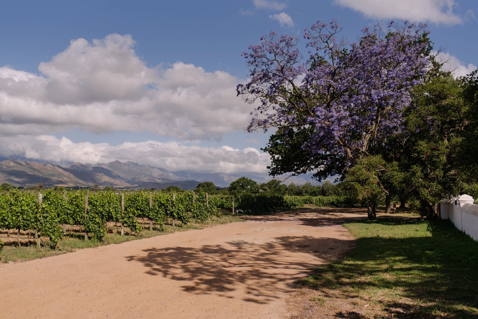 best stellenbosch wedding venue