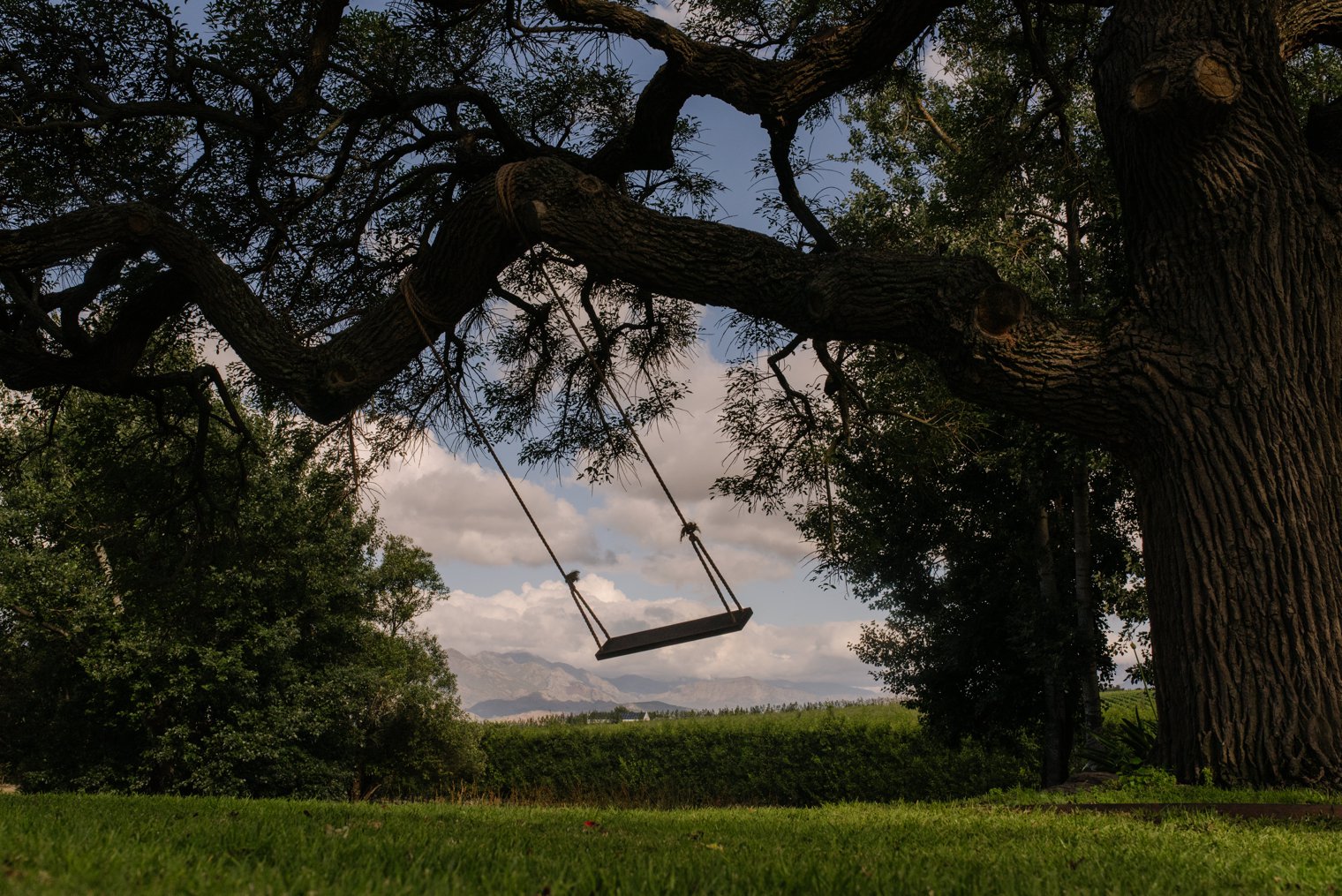 unique stellenbosch wedding venue