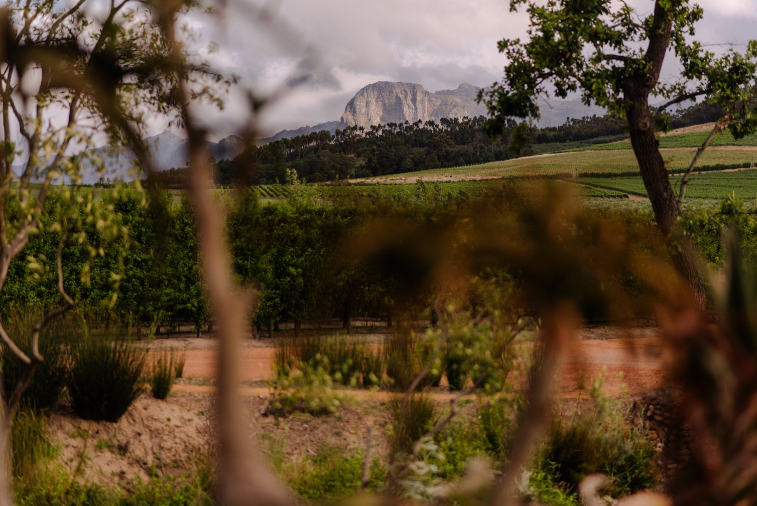 stellenbosch wedding venues