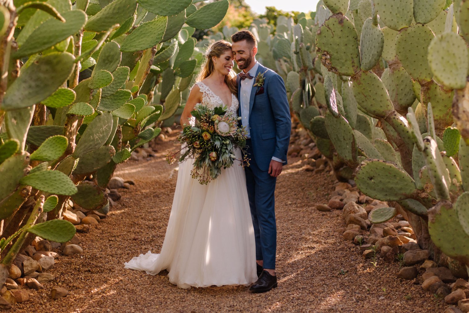 wedding photos in cactus garden at babylonstoren