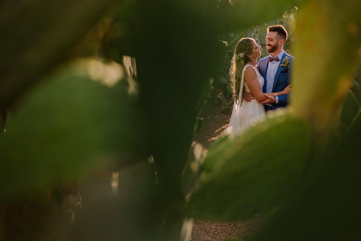 babylonstoren cactus wedding photos