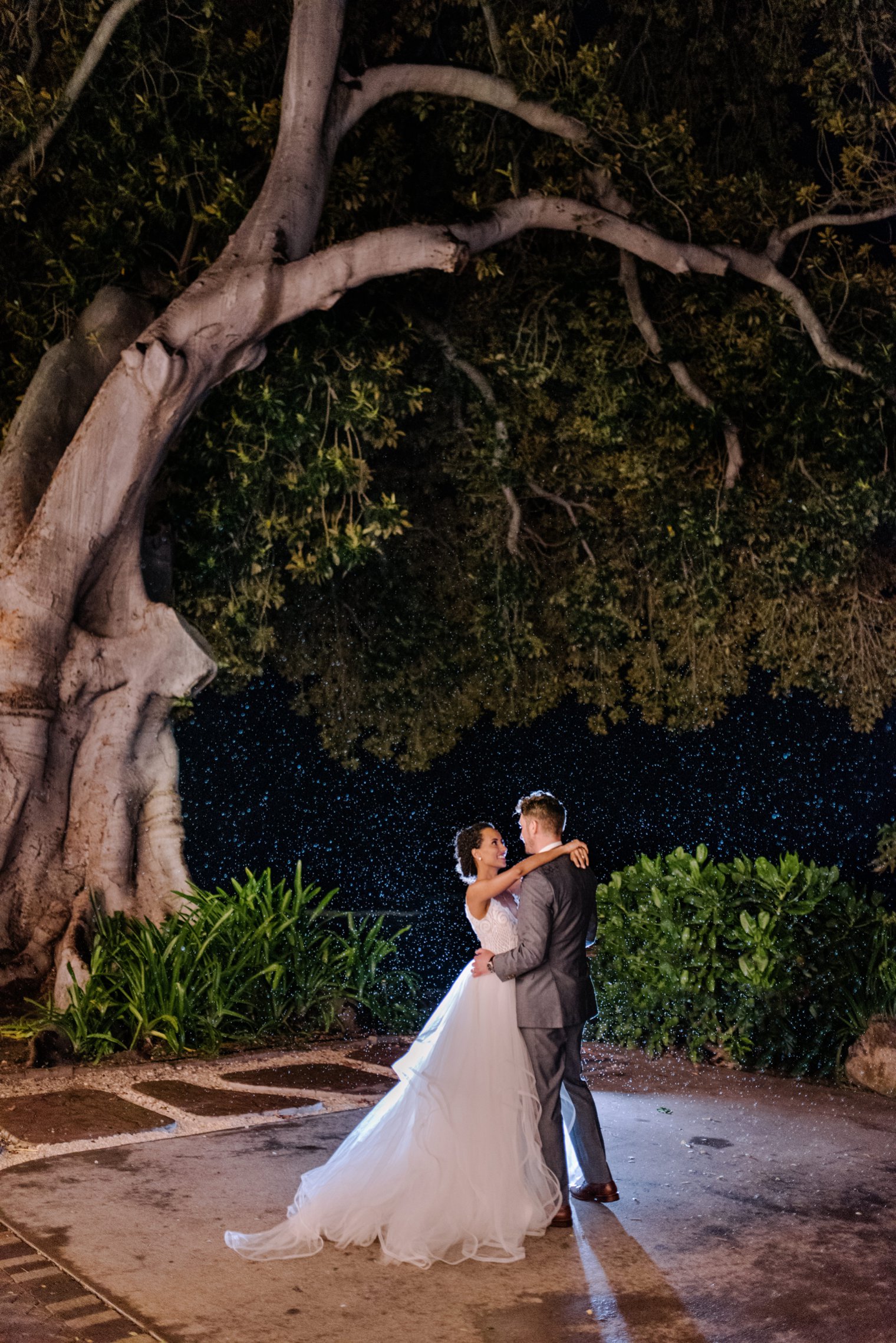 first dance under banyon tree in maui