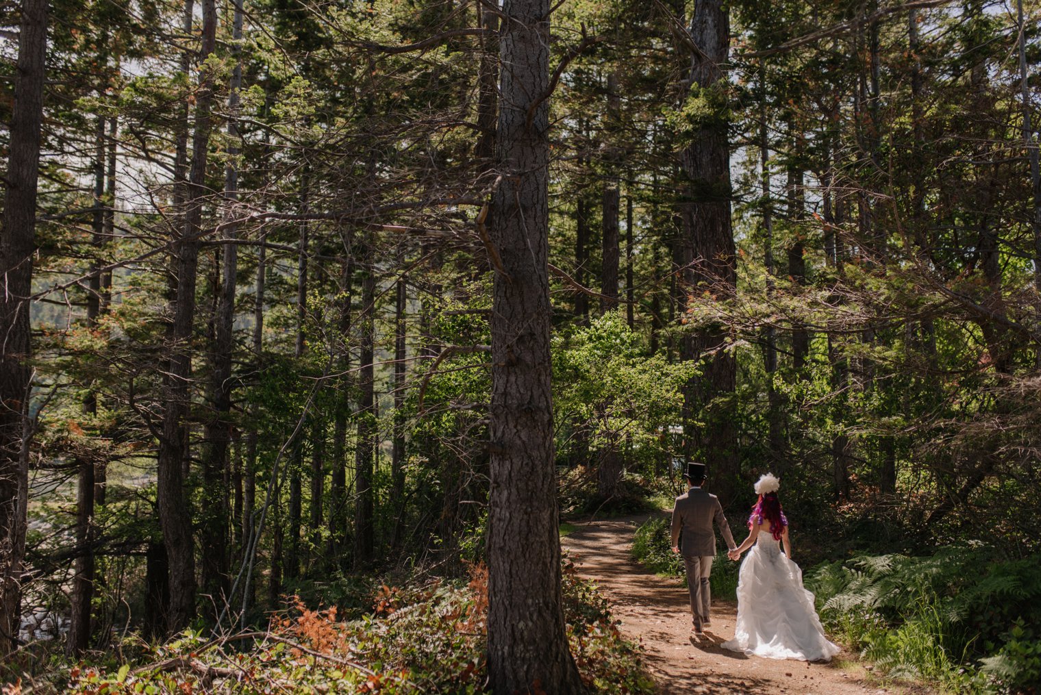 bowen island forest wedding photos
