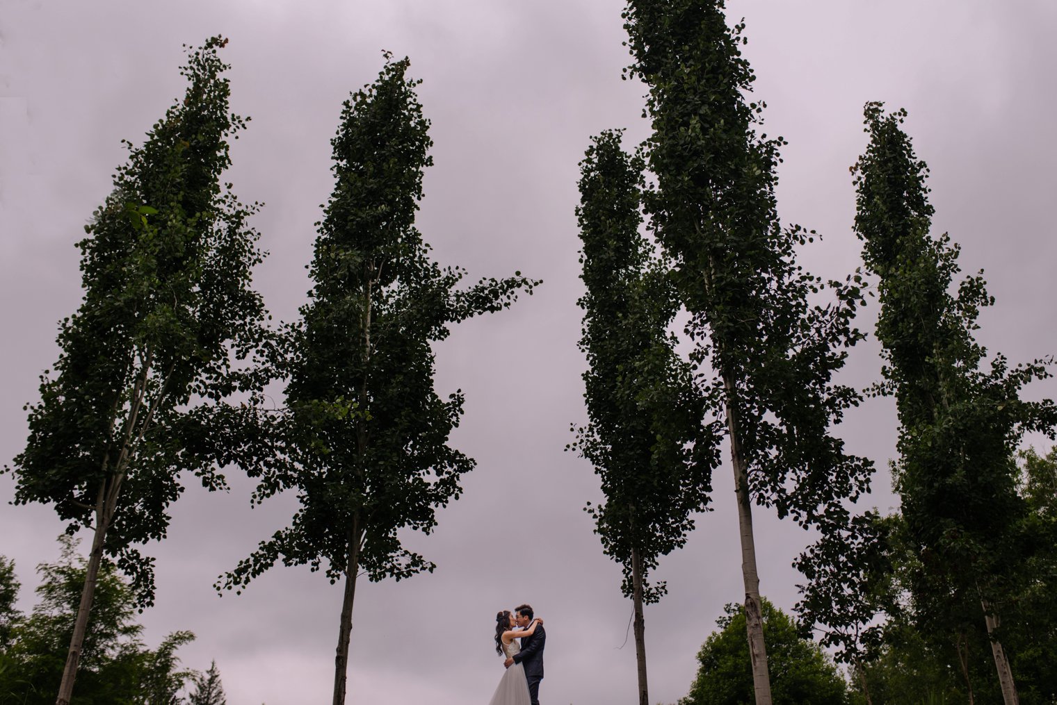 Vancouver Lavender Farm Wedding